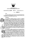Vista preliminar de documento 1870355396_RDR_0965_2015.pdf