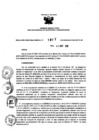 Vista preliminar de documento 353001884_RDR_1011_2015.pdf