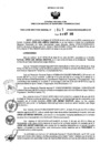 Vista preliminar de documento 584999701_RDR_1041_2015.pdf