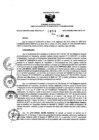Vista preliminar de documento 119178170_RDR_1054_2015.pdf