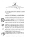 Vista preliminar de documento 763794207_RDR_1203_2015.pdf