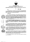 Vista preliminar de documento 373191144_RDR_1358_2015.pdf