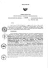 Vista preliminar de documento 1086753561_RDR N°0838-2018-12-11-18.pdf