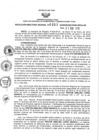 Vista preliminar de documento 1392840984_RDR N°0051-2019-31-01-19.pdf