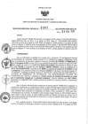 Vista preliminar de documento 1228526616_RDR N°0082-2019-08-02-19.pdf