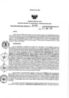 Vista preliminar de documento 78859749_RDR N°0208-2019-03-04-19.pdf