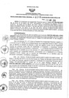 Vista preliminar de documento 1245098970_RDR N°0315-2019-30-04-19.pdf