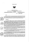 Vista preliminar de documento 1404068839_RDR N°0303-2019-25-04-19.pdf