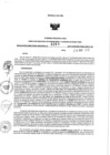 Vista preliminar de documento 1702472112_RDR N°0361-2019-28-05-19.pdf
