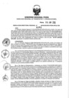 Vista preliminar de documento 1487794944_RDR N°0392-2019-06-06-19.pdf