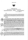 Vista preliminar de documento 1020489852_RDR N°0477-2019-21-06-19.pdf