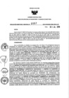 Vista preliminar de documento 1689330245_RDR N°0557-2019-03-07-19.pdf