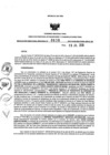 Vista preliminar de documento 913421689_RDR N°0638-2019-19-07-19.pdf