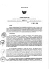 Vista preliminar de documento 1549302871_RDR N°0800-2019-16-09-19.pdf