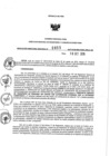 Vista preliminar de documento 903170382_RDR N°0855-2019-10-10-19.pdf