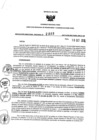 Vista preliminar de documento 786539142_RDR N°0869-2019-18-10-19.pdf