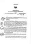 Vista preliminar de documento 30176445_RDR N°0868-2019-18-10-19.pdf