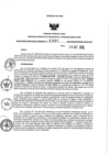 Vista preliminar de documento 1172433632_RDR N°0904-2019-30-10-19.pdf