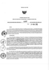 Vista preliminar de documento 48947162_RDR N°1007-2019-29-11-19.pdf