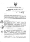 Vista preliminar de documento 819487079_RDR N°0063-2020-21-01-20.pdf