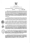 Vista preliminar de documento 963660985_RDR N°0121-2020-17-02-20.pdf