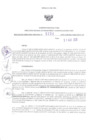 Vista preliminar de documento 401133333_RDR_0204_2020.pdf