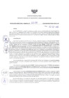 Vista preliminar de documento 1377987499_RDR_0209_2020.pdf
