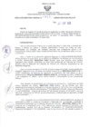 Vista preliminar de documento 134487954_RDR_0233_2020.pdf