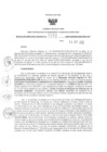 Vista preliminar de documento 1924847385_RDR_0294_2020.pdf
