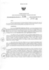 Vista preliminar de documento 1188416817_RDR_0298_2020.pdf