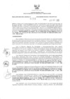 Vista preliminar de documento 1484463357_RDR_0300_2020.pdf