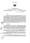 Vista preliminar de documento 1175117000_RDR N°307-2020-22-10-20.pdf