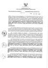 Vista preliminar de documento 443588643_RDR N°311-2020-22-10-20.pdf