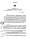 Vista preliminar de documento 359751582_RDR N°309-2020-22-10-20.pdf