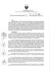 Vista preliminar de documento 163542412_RDR N°321-2020-27-10-20.pdf