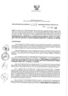 Vista preliminar de documento 1015791894_RDR N°0345-2020-06-11-20.pdf