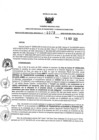 Vista preliminar de documento 1525643053_RDR N°0379-2020-19-11-20.pdf