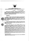 Vista preliminar de documento 1087358915_RDR N°0389-2020-24-11-20.pdf