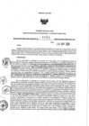 Vista preliminar de documento 1020291230_RDR N°0401-2020-25-11-20.pdf