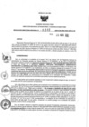 Vista preliminar de documento 427884667_RDR N°0399-2020-25-11-20.pdf