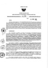 Vista preliminar de documento 986816773_RDR N°0400-2020-25-11-20.pdf