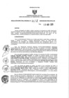 Vista preliminar de documento 504377314_RDR N°0412-2020-30-11-20.pdf