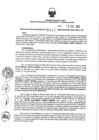 Vista preliminar de documento 1041842985_RDR N°0445-2020-15-12-20.pdf