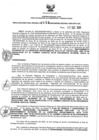 Vista preliminar de documento 1970499825_RDR N°0454-2020-17-12-20.pdf