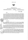 Vista preliminar de documento 973468421_RDR N°0461-2020-21-12-20.pdf