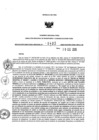 Vista preliminar de documento 185395865_RDR N°0485-2020-30-12-20.pdf