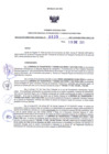 Vista preliminar de documento 1038082532_RDR N°0035-2021-19-01-21.pdf