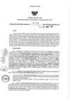 Vista preliminar de documento 105268257_RDR N°0174-2021-30-03-21.pdf