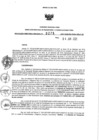 Vista preliminar de documento 61202085_RDR N°0275-2021-04-06-21..pdf