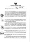 Vista preliminar de documento 519351078_RDR N°0319-2021-25-06-21..pdf